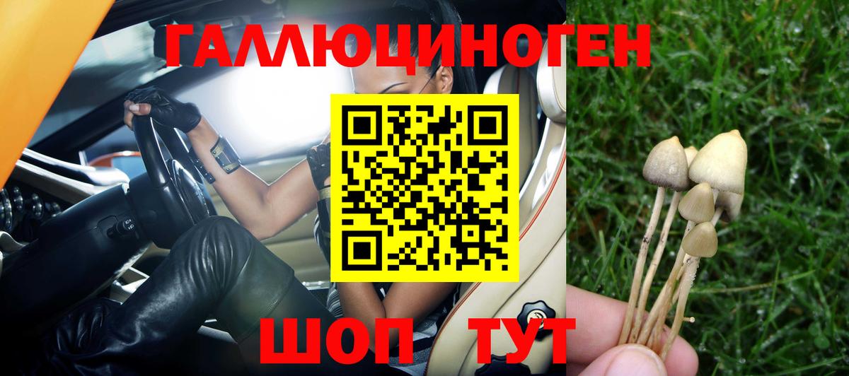 Галлюциногенные грибы Psilocybe Учалы